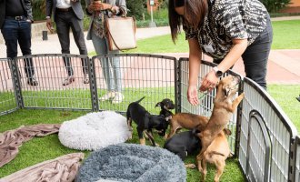 A Dialogue on Education